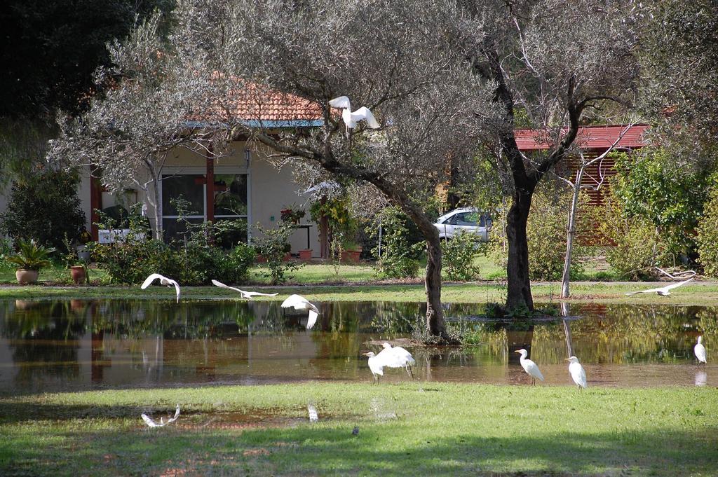 Ein Zurim Guest House 'En Zurim Dış mekan fotoğraf